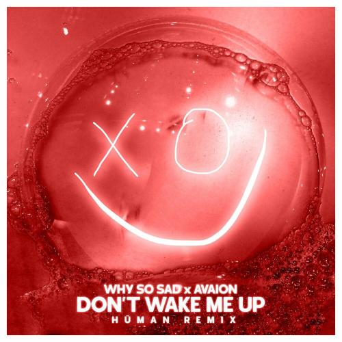 Why So Sad, Avaion & Human - Don't Wake Me Up (Hüman Remix)