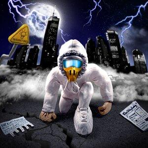 WhyBaby - HOLLYWOOD