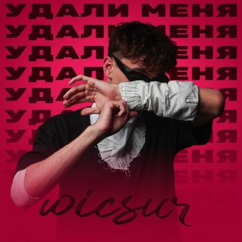 Wicsur - Удали Меня