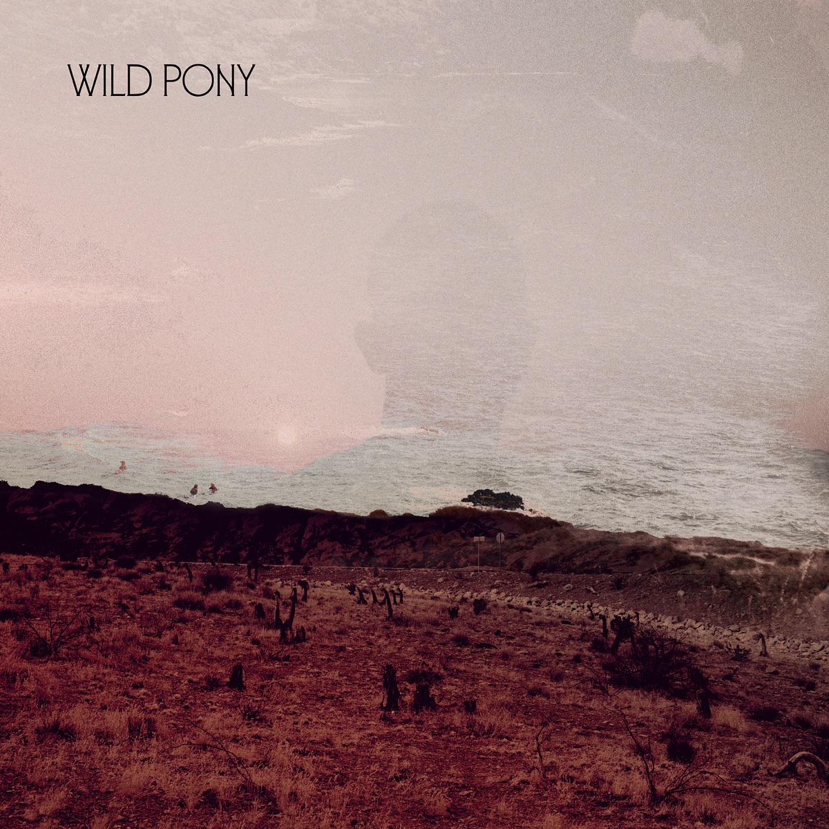 Solana - Wild Pony