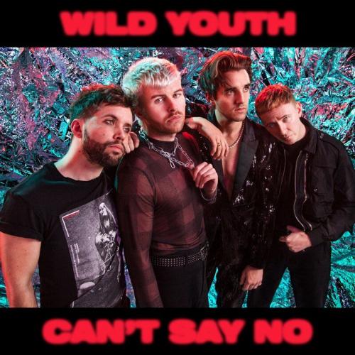 Wild Youth - Cant Say No