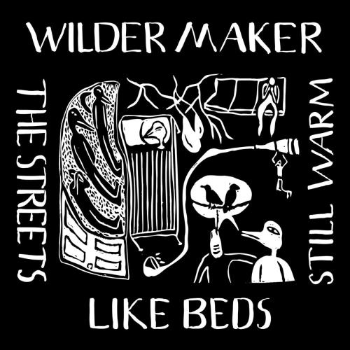 Wilder Maker - Strange Meeting with Owls