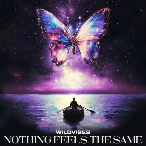 Nothing Feels The Same - WildVibes