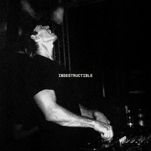 Indestructible - Will Sparks