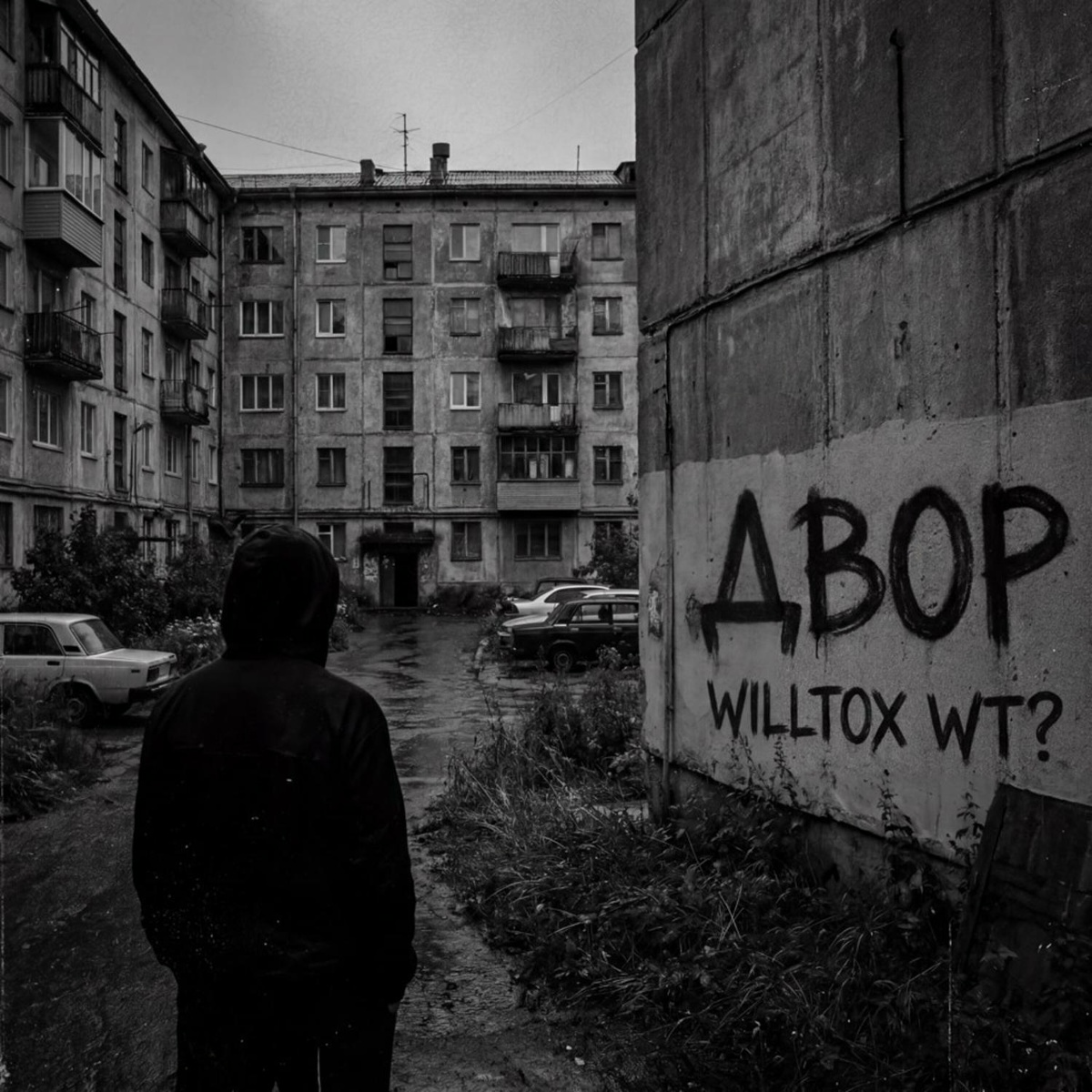 Двор - WILLTOX WT_
