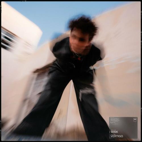 Wink - VERTIGO