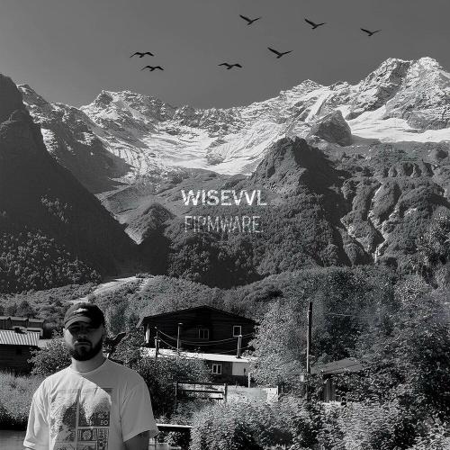 Wisevvl - Firmware