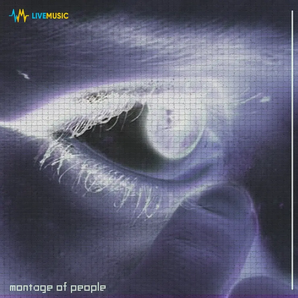 Montage of People - WMond