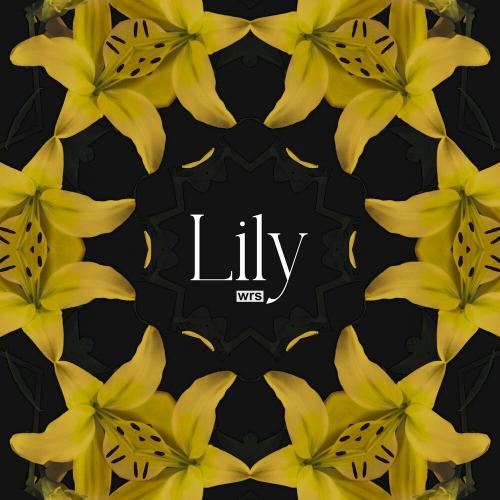 Lily - WRS