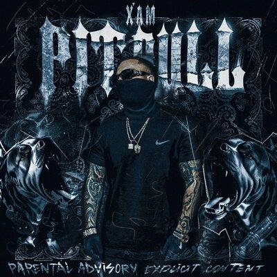 X'AM - Pitbull