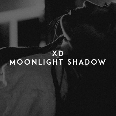 Moonlight Shadow - Xd
