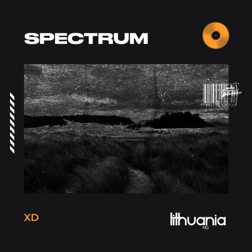 Spectrum (Say My Name) - XD