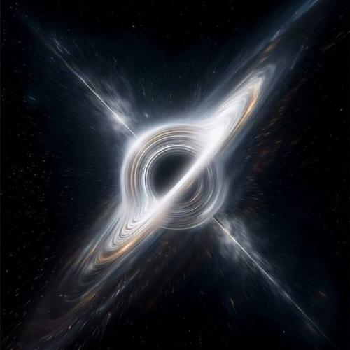 Xfeel, BXCK WH1TE - EXTREME