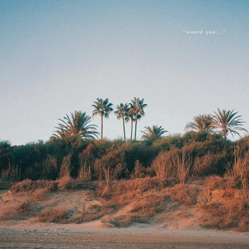 Y.V.E. 48 - Would You (Summer Edit)