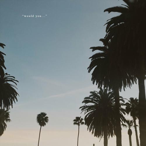 Y.V.E. 48 - Would You