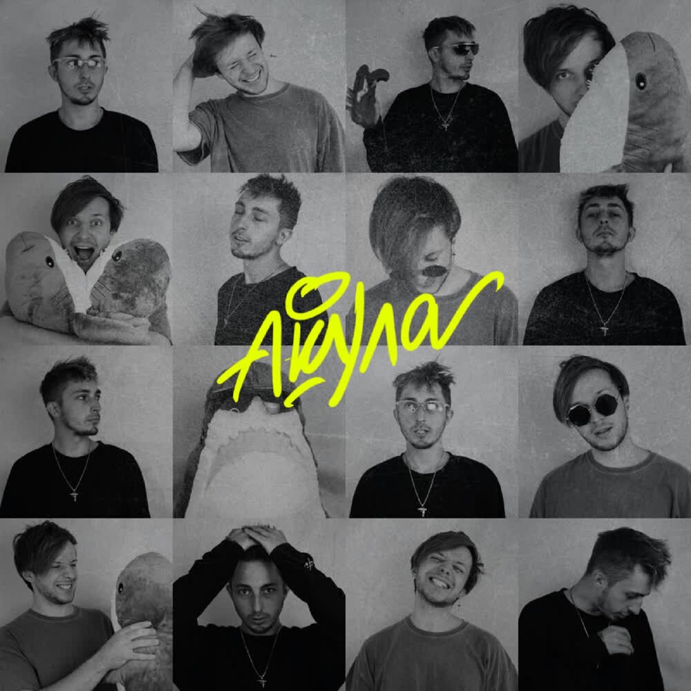 Акула - YADDAY, Brany