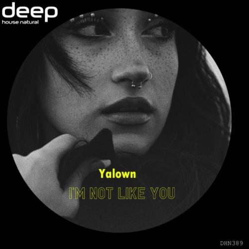 I'm Not Like You - Yalown