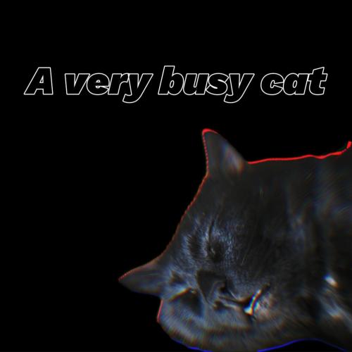 A Very Busy Cat - Яна Бирюкова