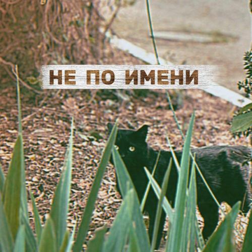 Не по имени - Яна Бирюкова