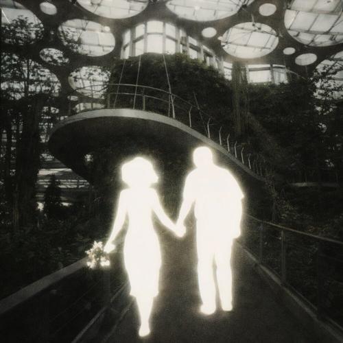 янглун - u look like