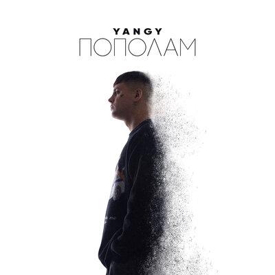 Пополам - YANGY