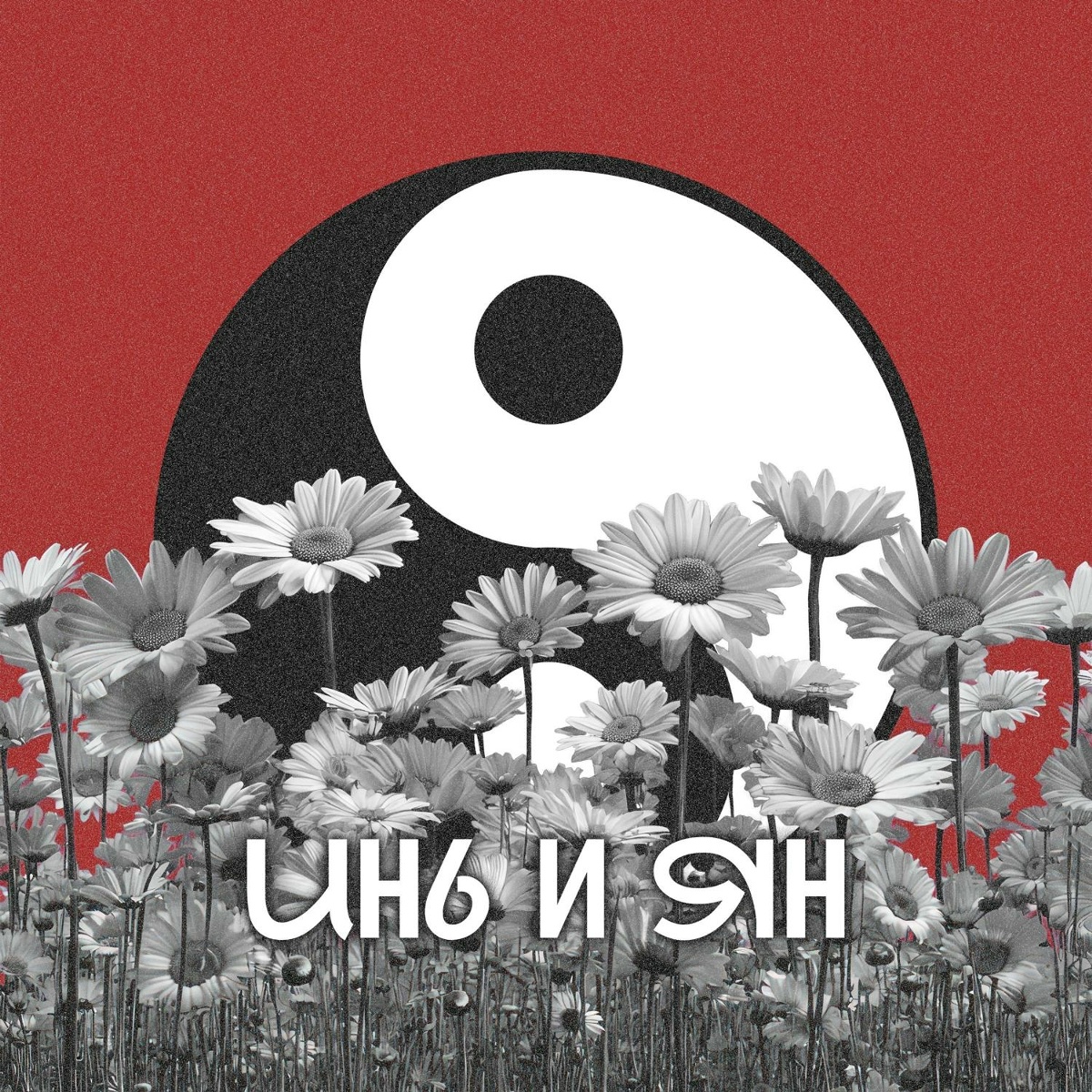 Инь и Ян - Ясеша, The Rigans