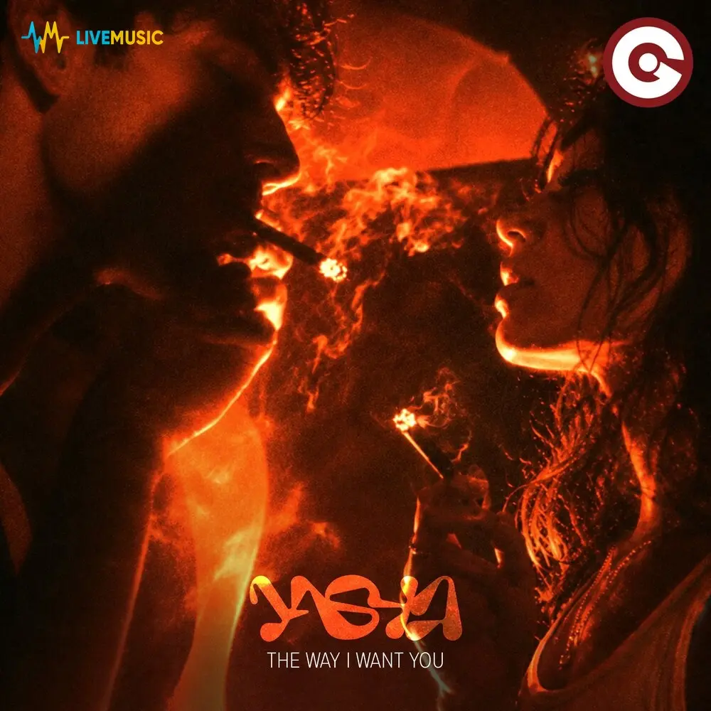 The Way I Want You - Yasha