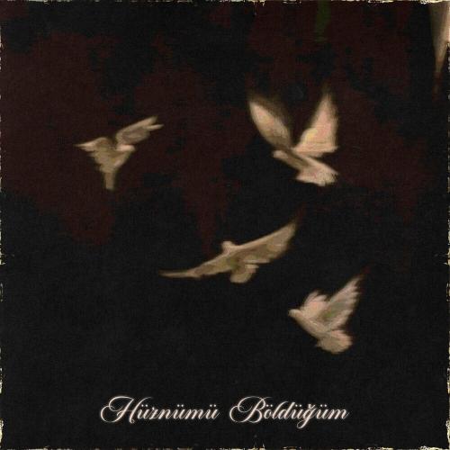 Hüznümü Böldüğüm - yiitsama & Batın