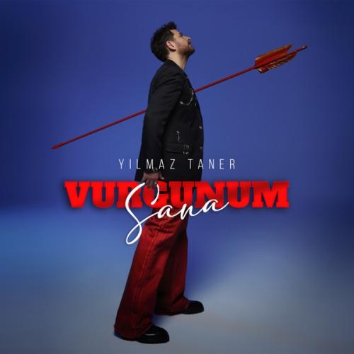Vurgunum Sana - Yilmaz Taner