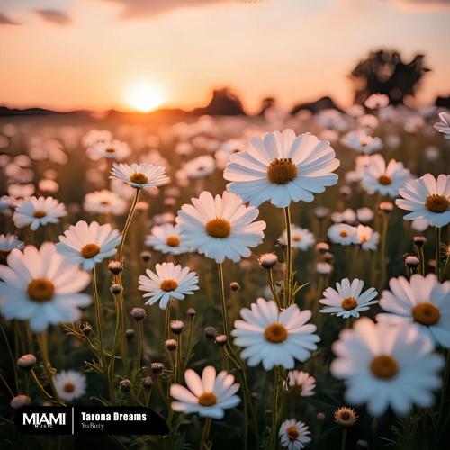 YuBoty - Tarona Dreams