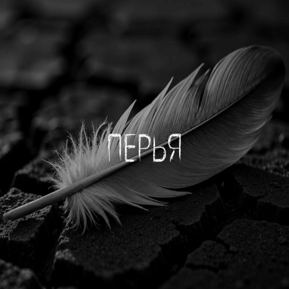 Перья - Юля Кузнецова