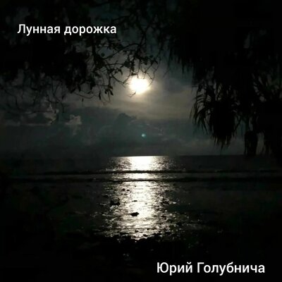 Лунная дорожка - Юрий Голубнича