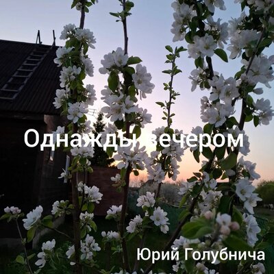Однажды вечером - Юрий Голубнича