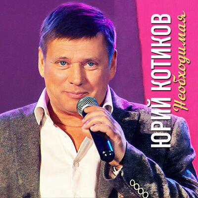 Юрий Котиков - Необходимая