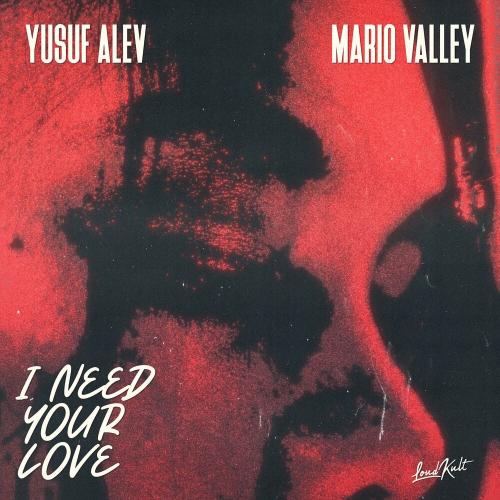 I Need Your Love - Yusuf Alev & Mario Valley