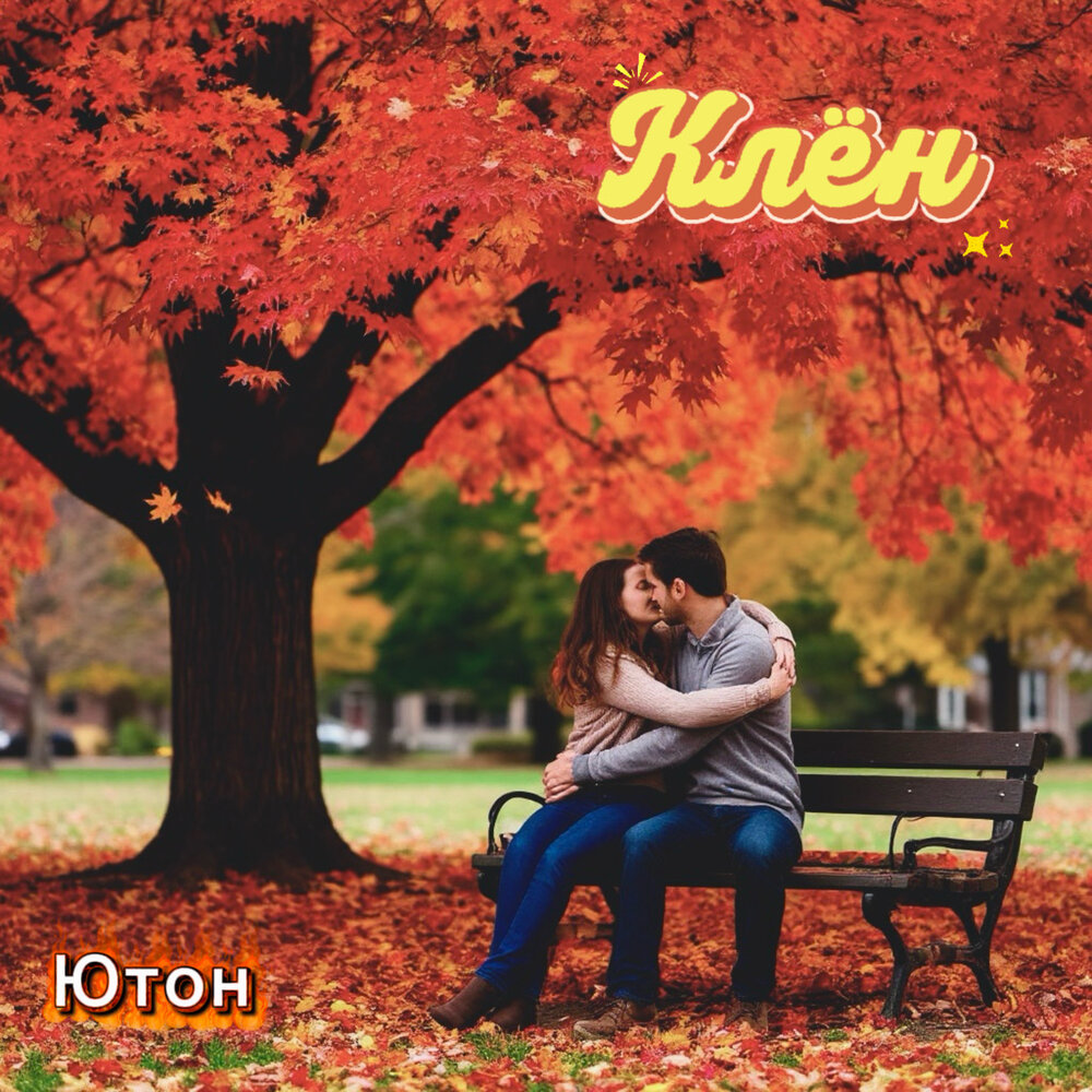 Клён - Ютон