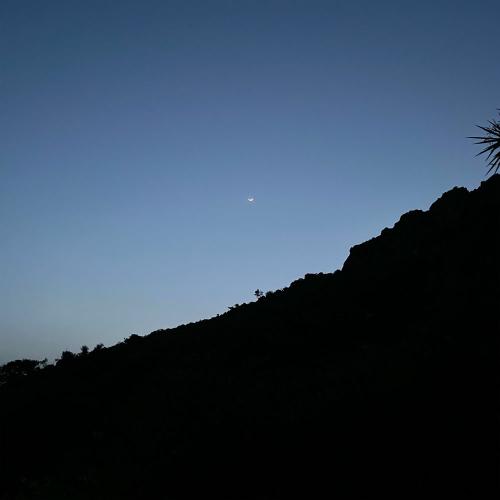 Yuuf - Calima
