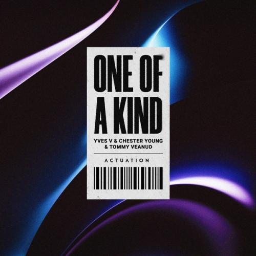 Yves V, Chester Young & Tommy Veanud - One Of A Kind