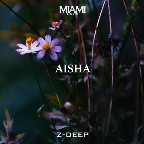 Aisha - Z-DEEP