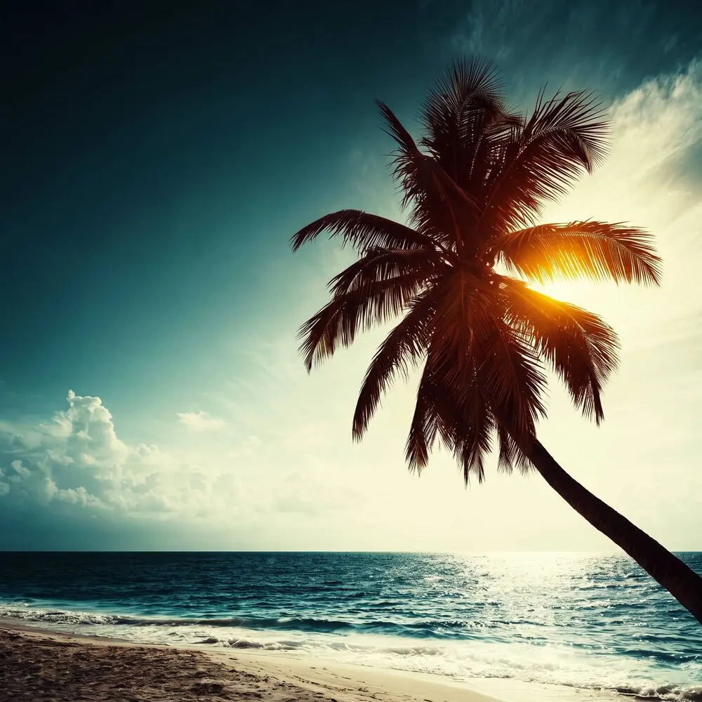 Eclipse Tropical - za ne
