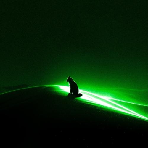 Zabb - SILENCE