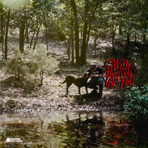 Zach Bryan - Say Why