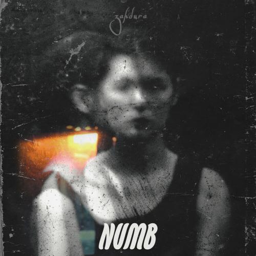  Zahdura - Numb