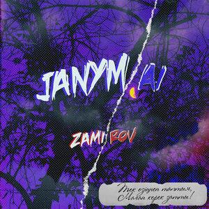 zamirov - Janym ai