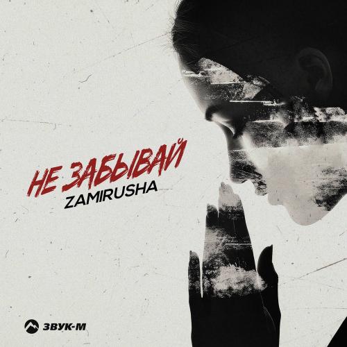 Не Забывай - Zamirusha