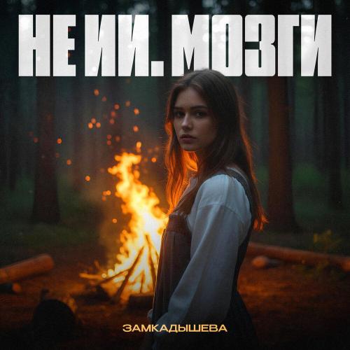 Замкадышева - Не ИИ. Мозги