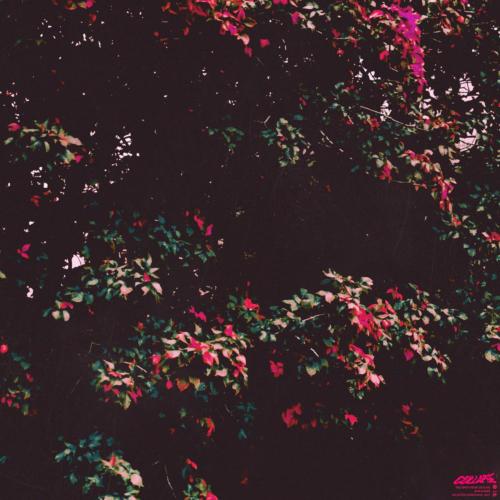 Zanski - Move (B-Side)