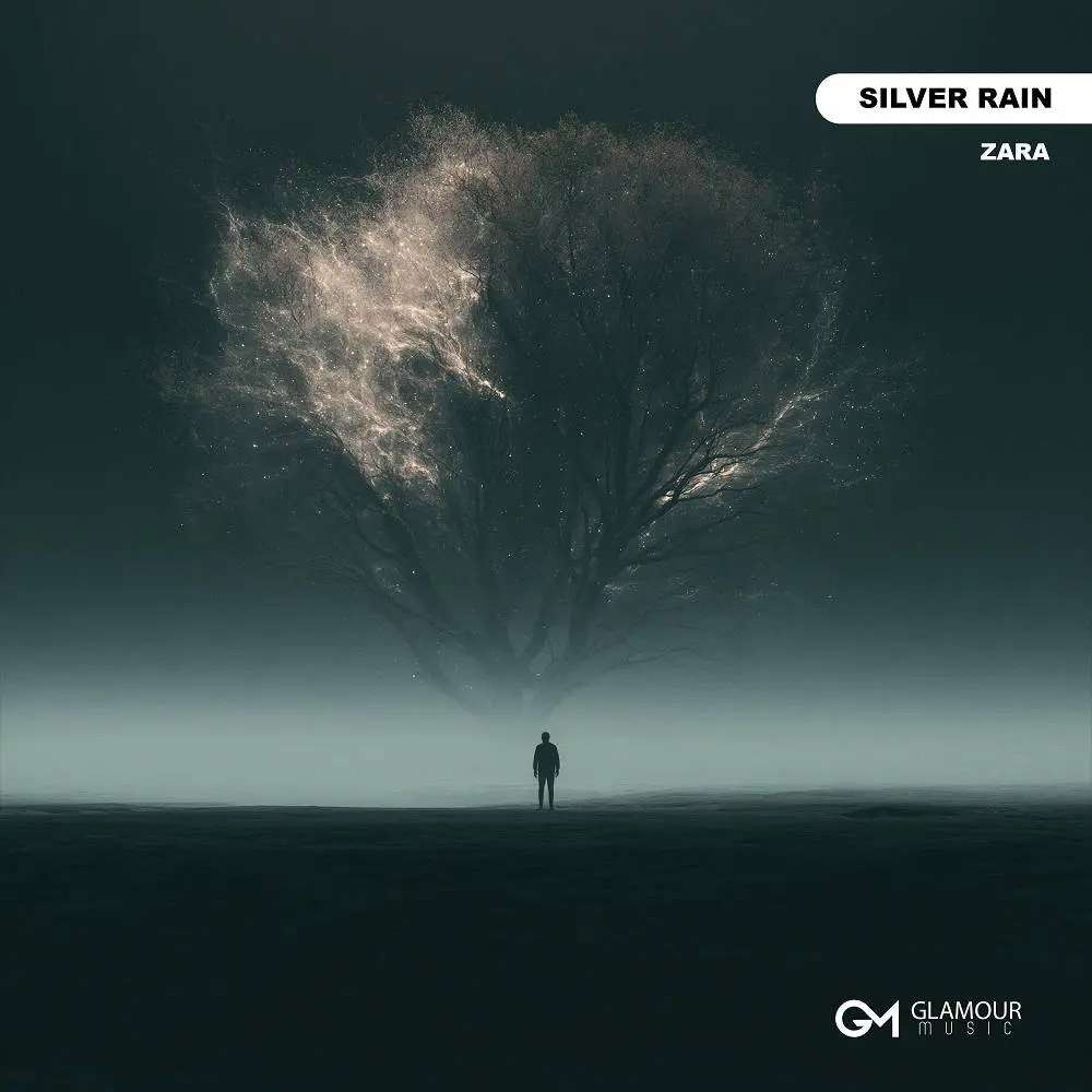 Silver Rain - Zara
