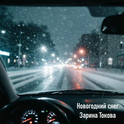 Зарина Токова - Новогодний снег