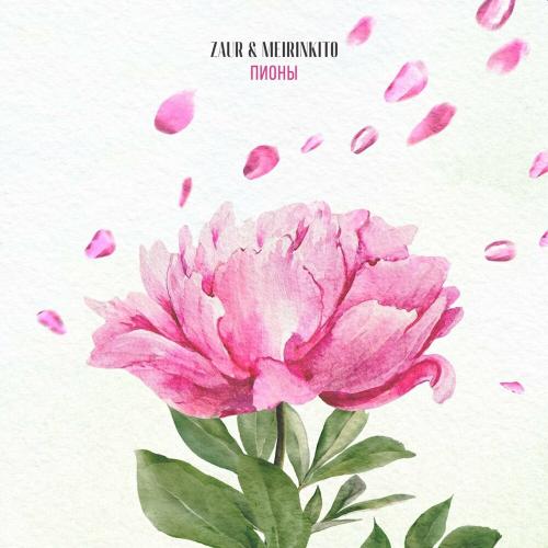 Zaur & Meirinkito - Пионы